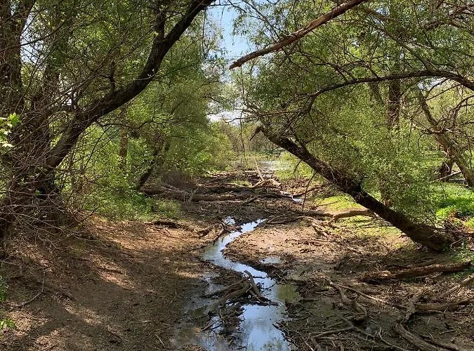 Bernstein-motel Motel 2*