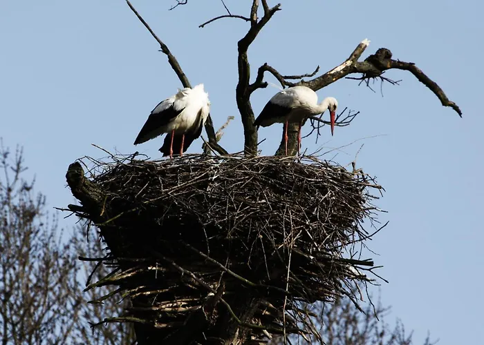 Bernstein-motel Motel Marchegg